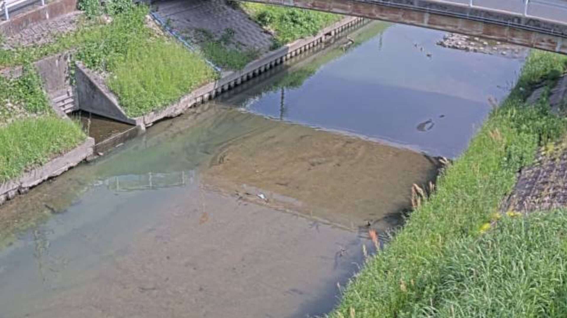 渡内川木庭中橋ライブカメラ(愛知県東海市富木島町)