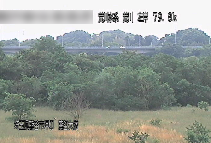 荒川熊谷大橋ライブカメラ(埼玉県熊谷市押切)
