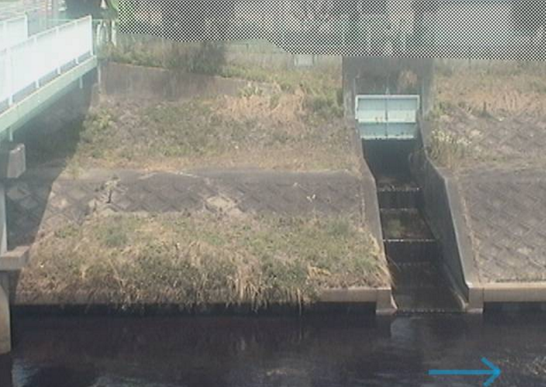 芳川芳川北小学校ライブカメラ(静岡県浜松市南区)