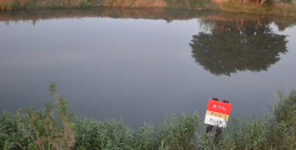 大落古利根川杉戸観測所ライブカメラ(埼玉県杉戸町杉戸)