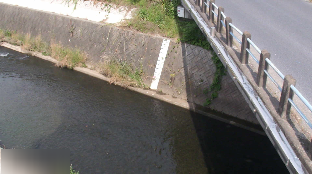 加茂川光徳橋ライブカメラ(岐阜県美濃加茂市加茂川町)