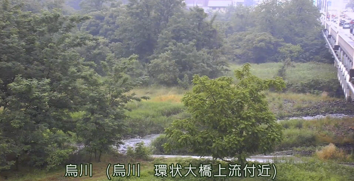 烏川烏川水位観測所ライブカメラ(群馬県高崎市下小塙町)