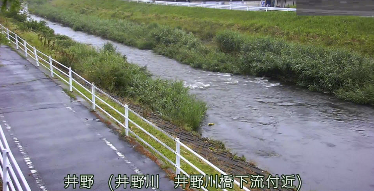 井野川井野ライブカメラ(群馬県高崎市井野町)