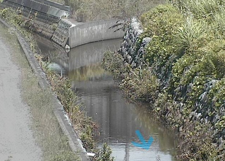 江尾江川江尾ライブカメラ(静岡県富士市江尾)
