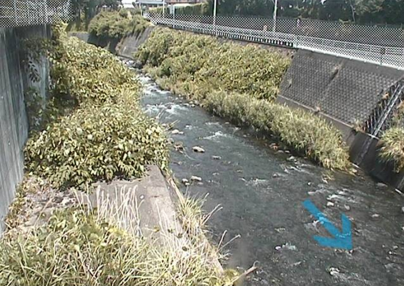 大場川青木橋ライブカメラ(静岡県長泉町中土狩)