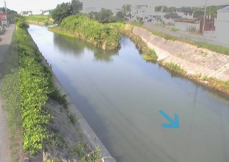 巴川楠ライブカメラ(静岡県静岡市清水区)