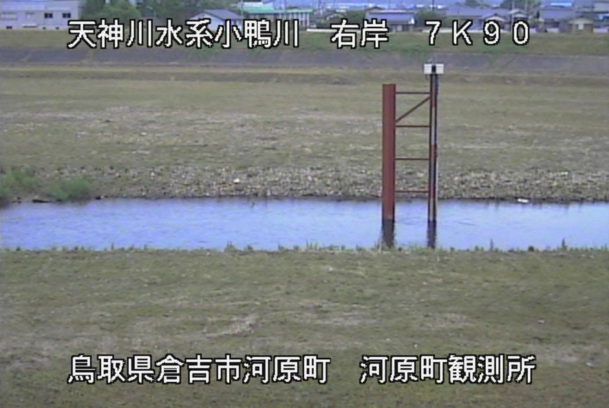 小鴨川河原町観測所ライブカメラ(鳥取県倉吉市河原町)