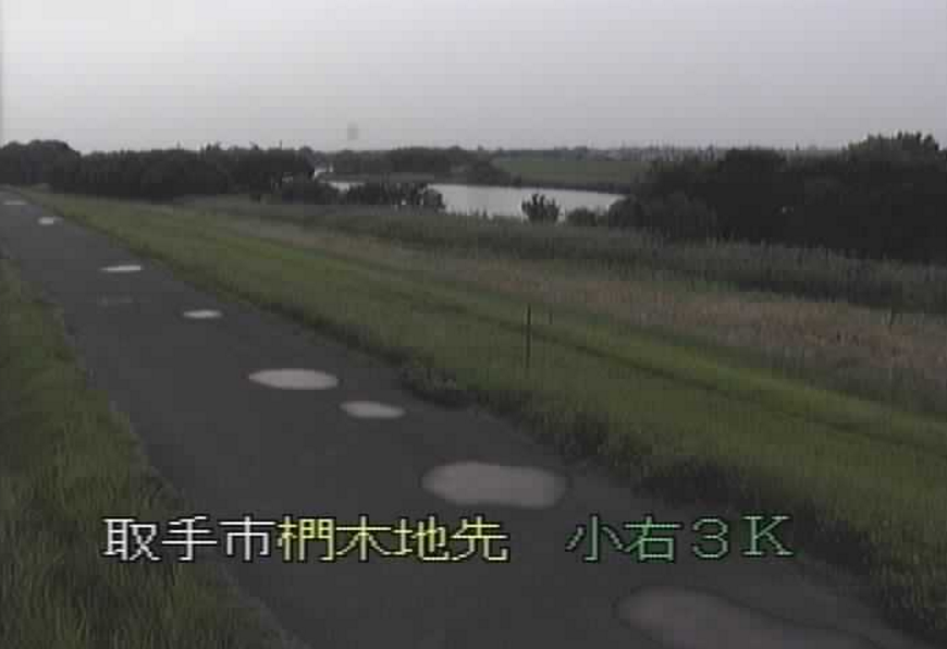 小貝川藤代防災ステーションライブカメラ(茨城県取手市椚木)