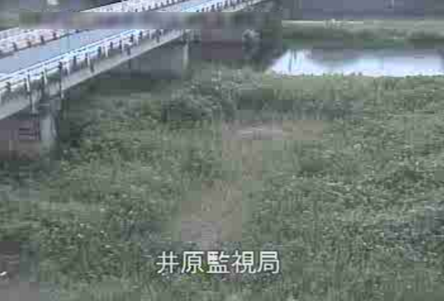 小田川井原ライブカメラ(岡山県井原市西江原町)