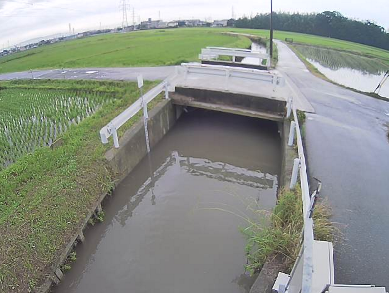 神田支川柿碕町第1ライブカメラ(愛知県安城市柿碕町)