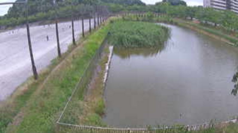 滝沼川第2遊水地ライブカメラ(埼玉県さいたま市西区)