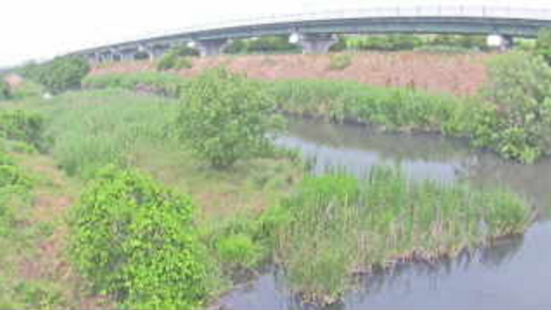 芝川皇山川合流点ライブカメラ(埼玉県さいたま市浦和区)
