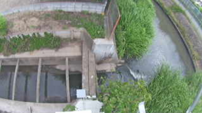 上院川最下流点ライブカメラ(埼玉県さいたま市岩槻区)