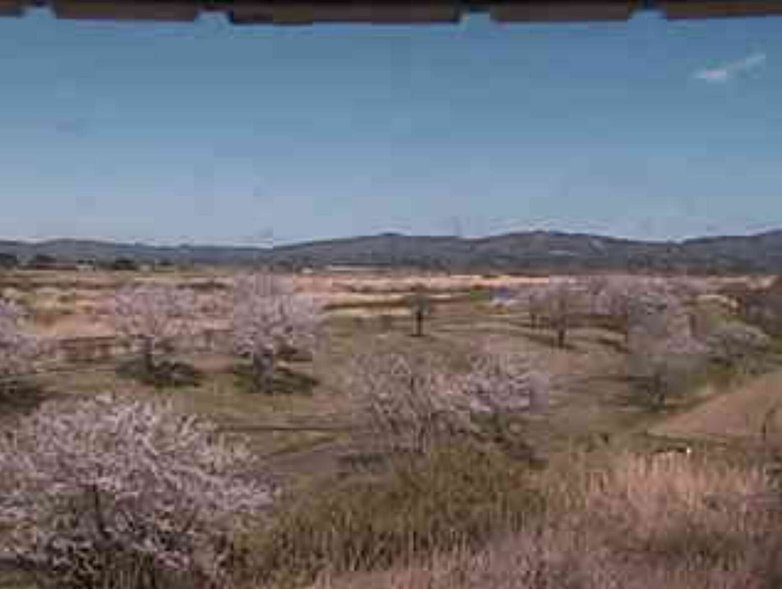 阿武隈川桜づつみ公園ライブカメラ(宮城県丸森町舘矢間舘山)