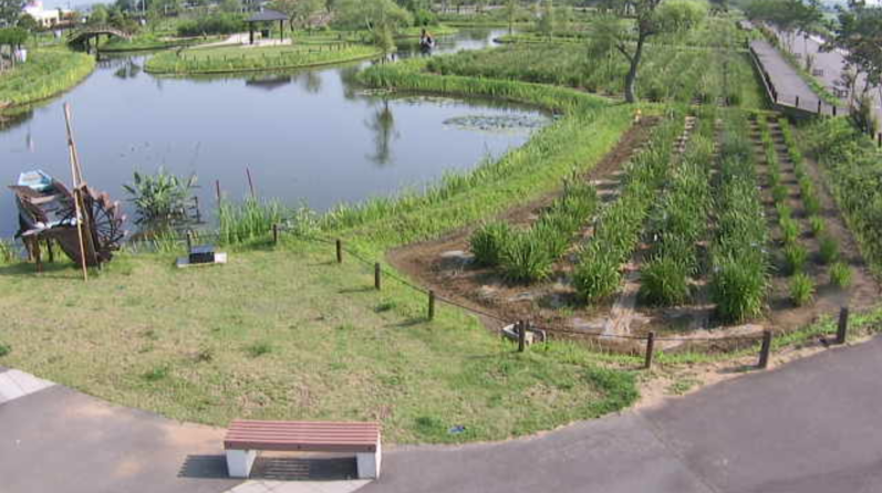 水郷佐原あやめパーク第2ライブカメラ(千葉県香取市扇島)