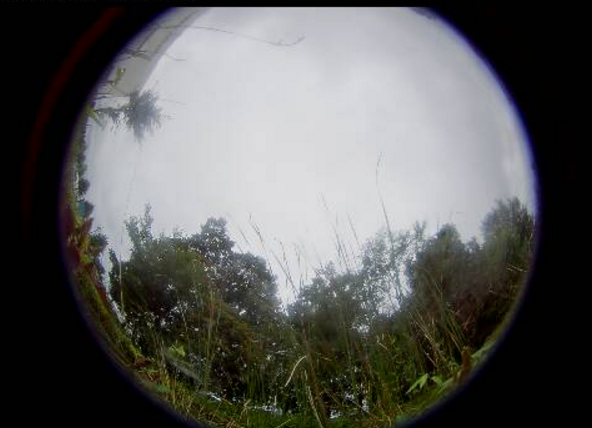 五洋建設那須技術研究所ビオトープ第1ライブカメラ(栃木県那須塩原市四区町)