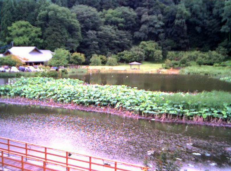明見湖ライブカメラ(山梨県富士吉田市小明見)