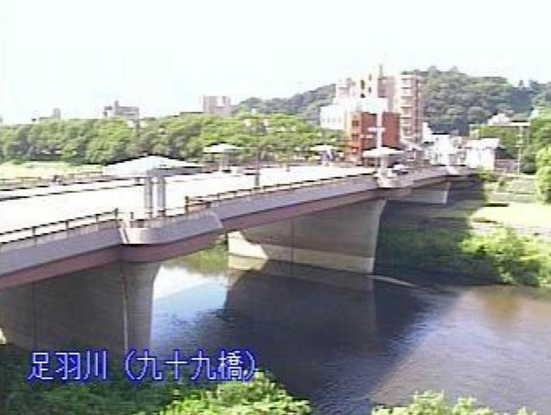 足羽川九十九橋ライブカメラ(福井県福井市照手)