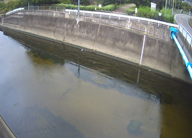 寝屋川寝屋川治水緑地ライブカメラ