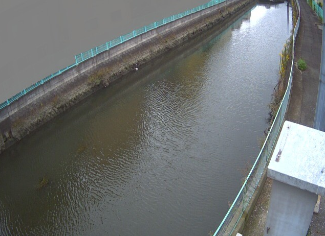 古川桑才ライブカメラ(大阪府門真市北島町)