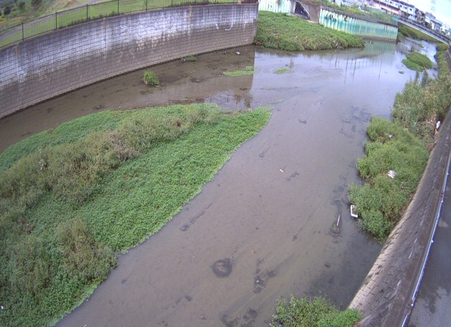 恩智川恩智川治水緑地ライブカメラ