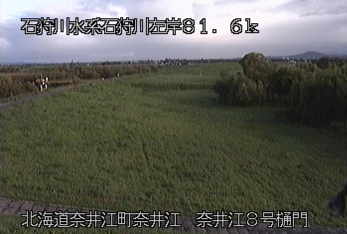 石狩川奈井江8号樋門ライブカメラ(北海道奈井江町奈井江)