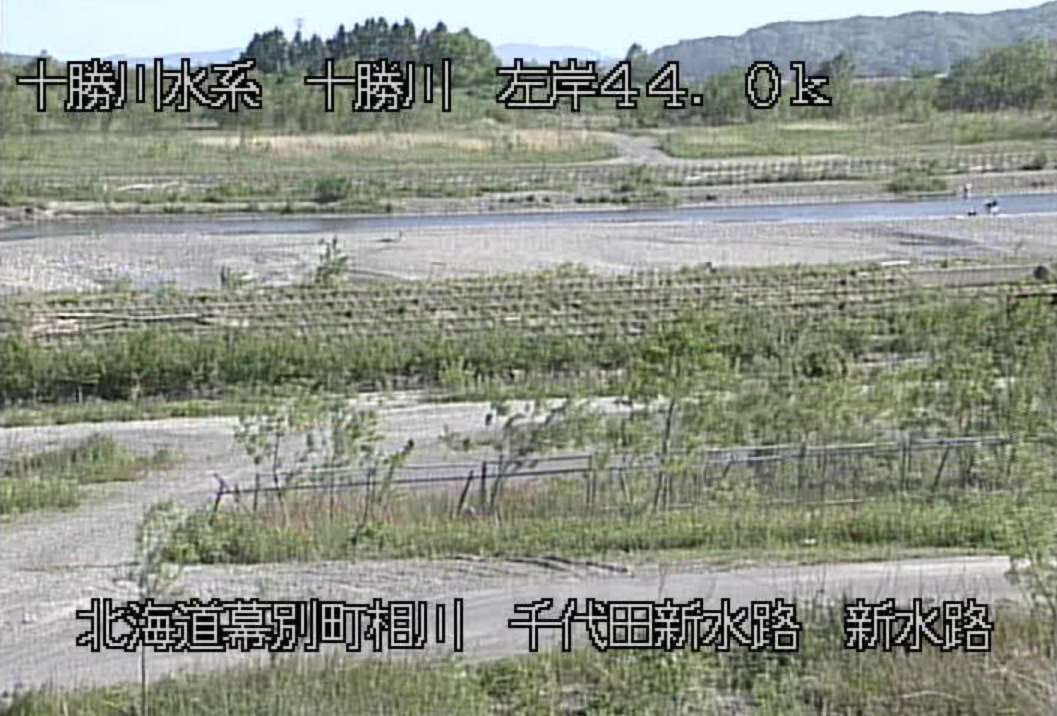 十勝川千代田新水路左岸ライブカメラ(北海道幕別町相川)