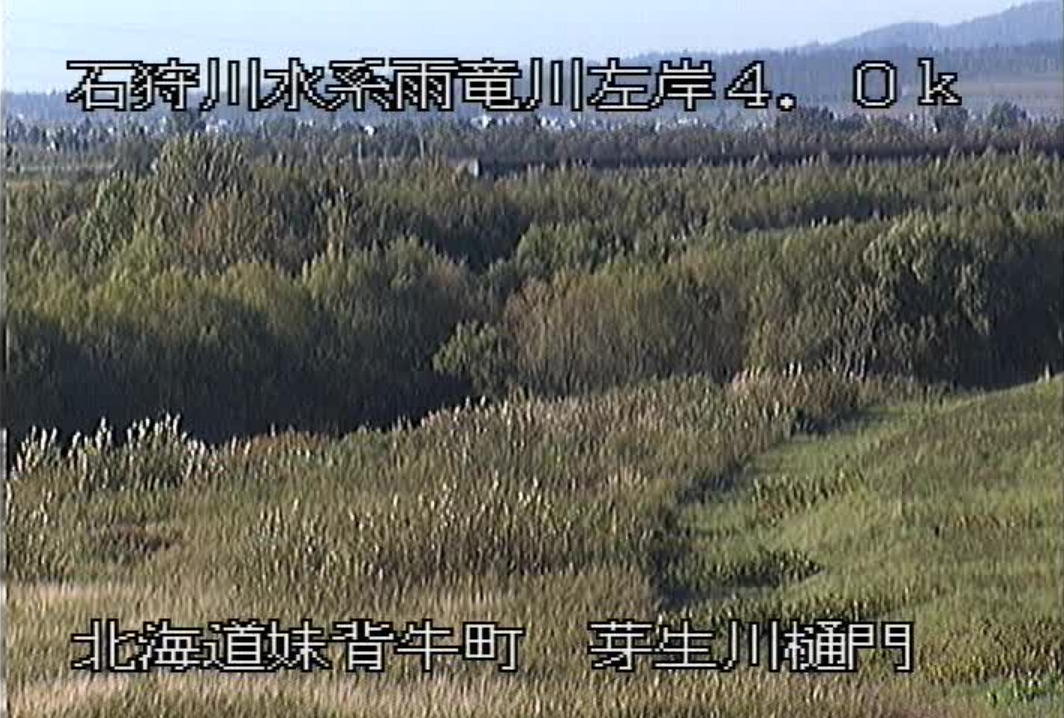 雨竜川芽生川樋門ライブカメラ(北海道妹背牛町妹背牛)