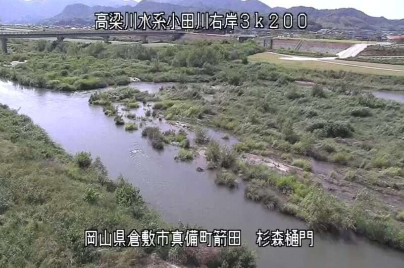 小田川杉森樋門ライブカメラ(岡山県倉敷市真備町箭田)