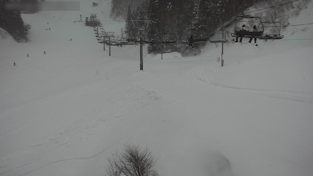 奥伊吹スキー場杉の木ゲレンデライブカメラ(滋賀県米原市甲津原)