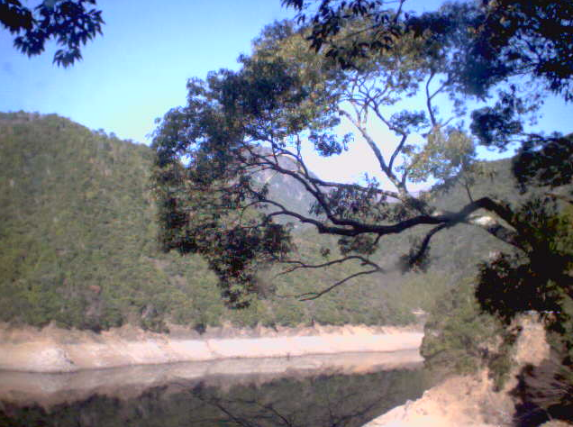 大杉谷ライブカメラ(三重県大台町大杉)