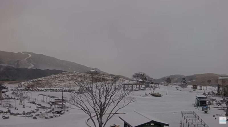 平尾台自然の郷ライブカメラ(福岡県北九州市小倉南区) 2026年1月2日 積雪