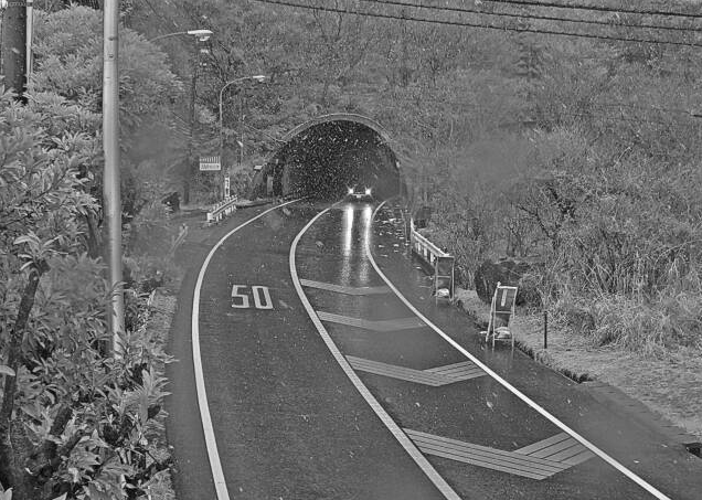 静岡県道11号熱海函南線鷹ノ巣山トンネル函南側ライブカメラ