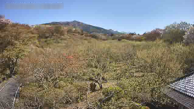 筑波山梅林上部ライブカメラ