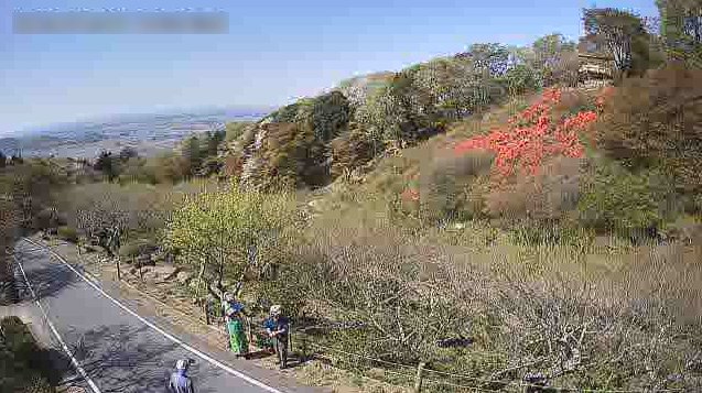 筑波山梅林下部ライブカメラ