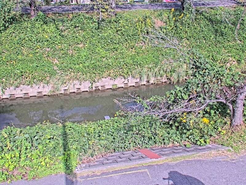 伊賀川伊賀川水位観測所ライブカメラ(愛知県岡崎市稲熊町)