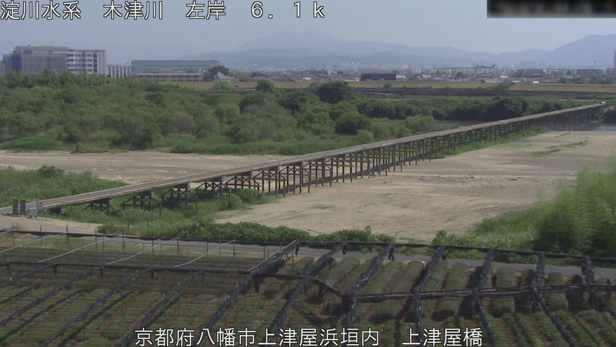 木津川流れ橋ライブカメラ(京都府八幡市上津屋浜垣内)