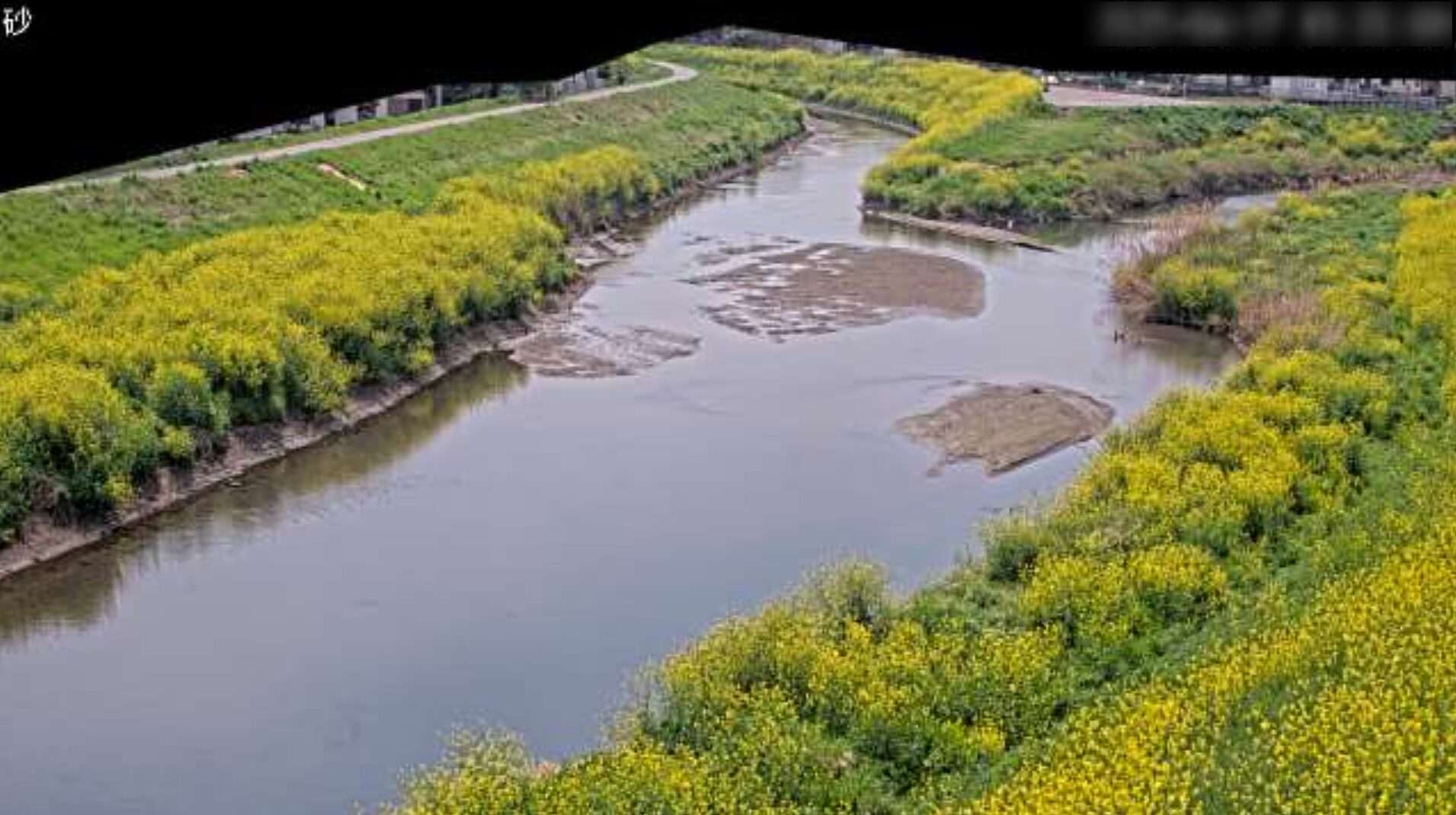新河岸川砂観測局ライブカメラ(埼玉県川越市砂)