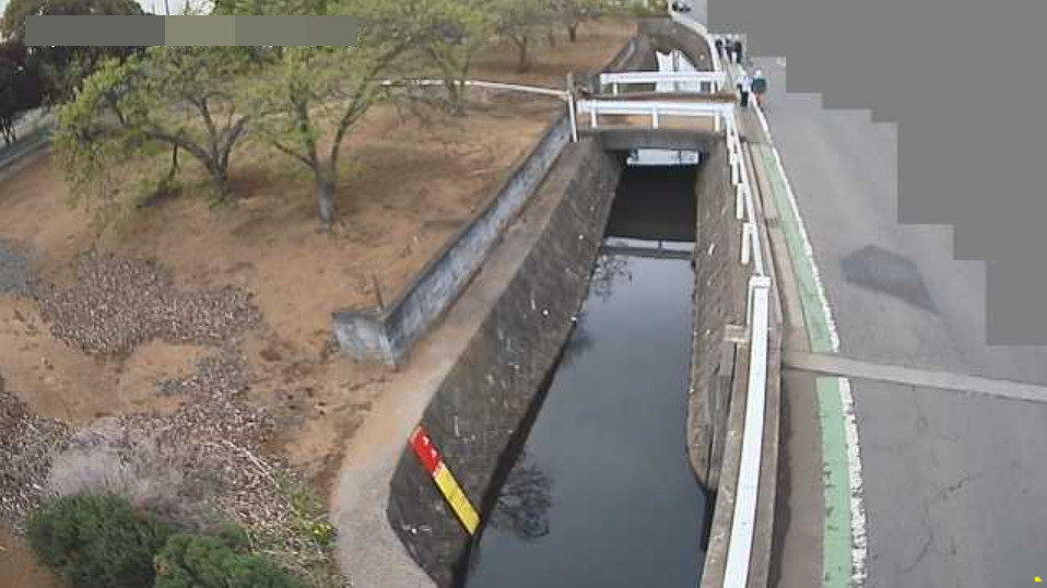 東川泉橋観測局ライブカメラ(埼玉県所沢市北野)