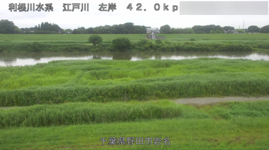 江戸川野田岩名ライブカメラ(千葉県野田市岩名)