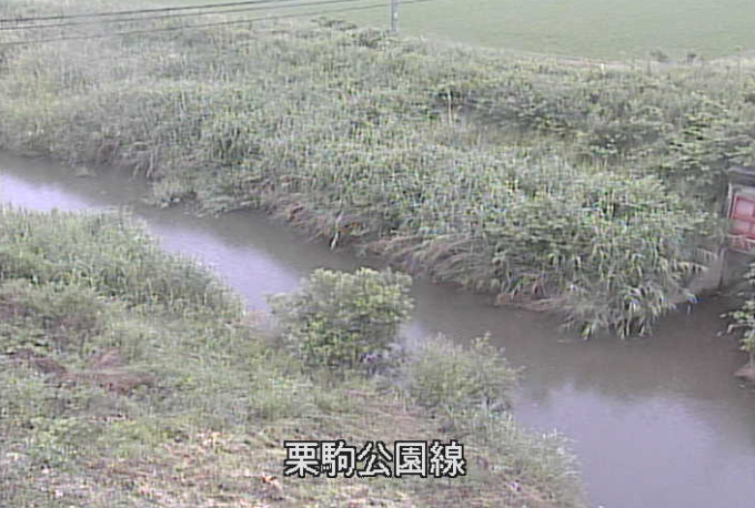 芋埣川栗駒公園線ライブカメラ(宮城県栗原市栗駒芋埣)