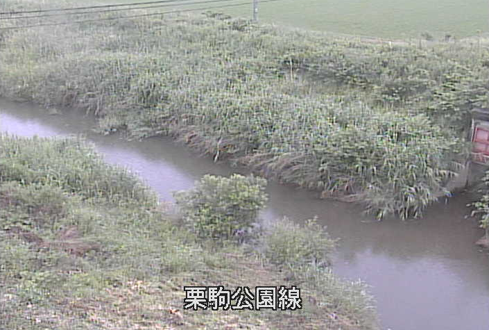 芋埣川栗駒公園線ライブカメラ(宮城県栗原市栗駒芋埣)