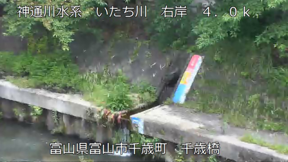 いたち川千歳橋ライブカメラ(富山県富山市千歳町)