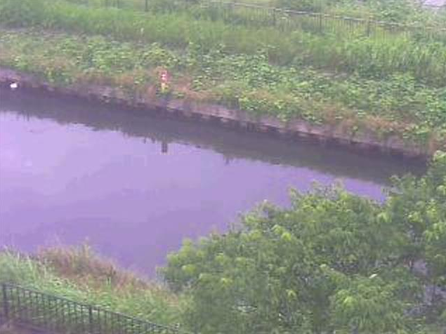 蟹江川木田ライブカメラ(愛知県あま市金岩)