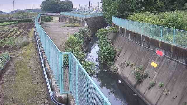 砂川堀下富調整池上流ライブカメラ(埼玉県所沢市下富)