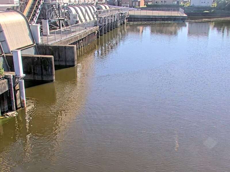 善太川善太ライブカメラ(愛知県蟹江町新千秋)