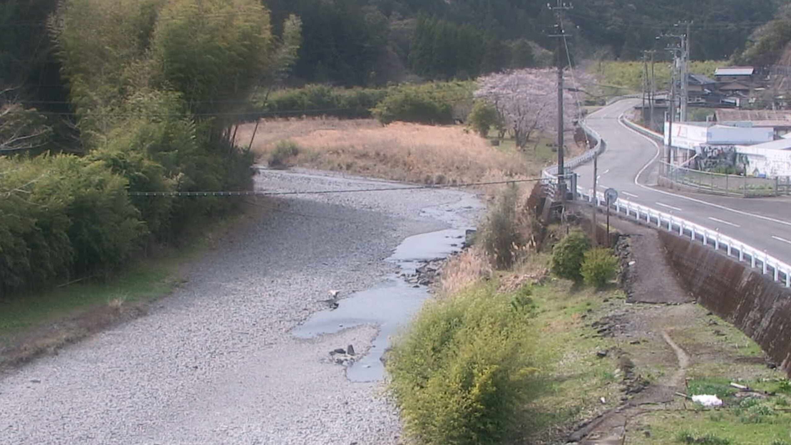 相川海部川合流地点ライブカメラ(徳島県海陽町相川)