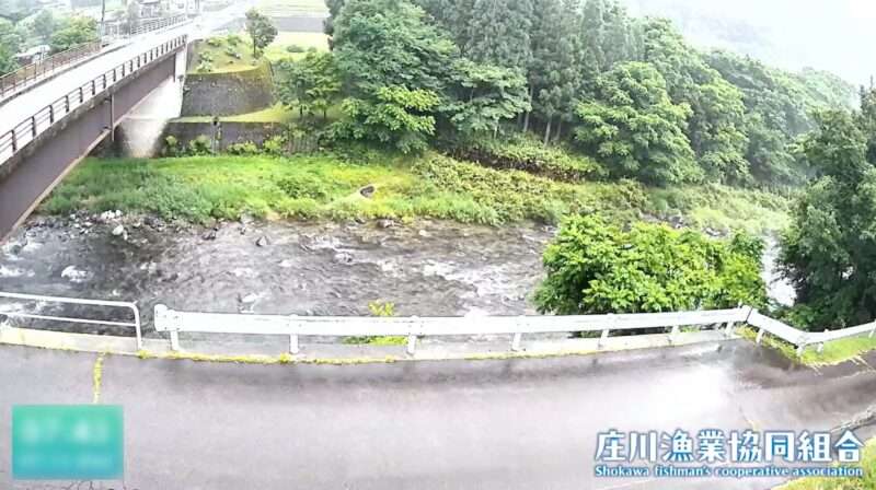 庄川漁業協同組合ライブカメラ(岐阜県高山市荘川町新渕)