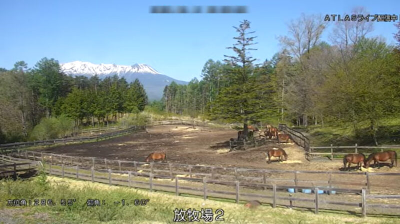 木曽馬の里御嶽山ライブカメラ(長野県木曽町開田高原)