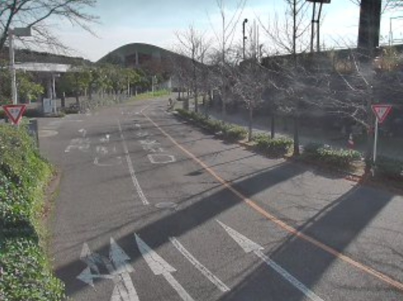 白山公園駐車場出入口ライブカメラ(新潟県新潟市中央区)
